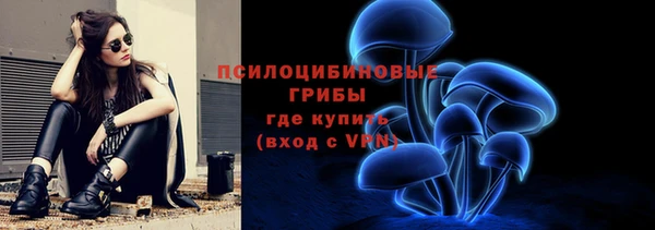 ECSTASY Богородск