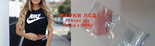 apvp Богданович