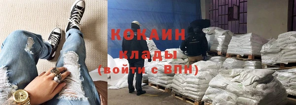 apvp Богданович