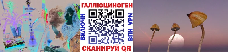 купить  сайты  Маркс  Галлюциногенные грибы Psilocybine cubensis 