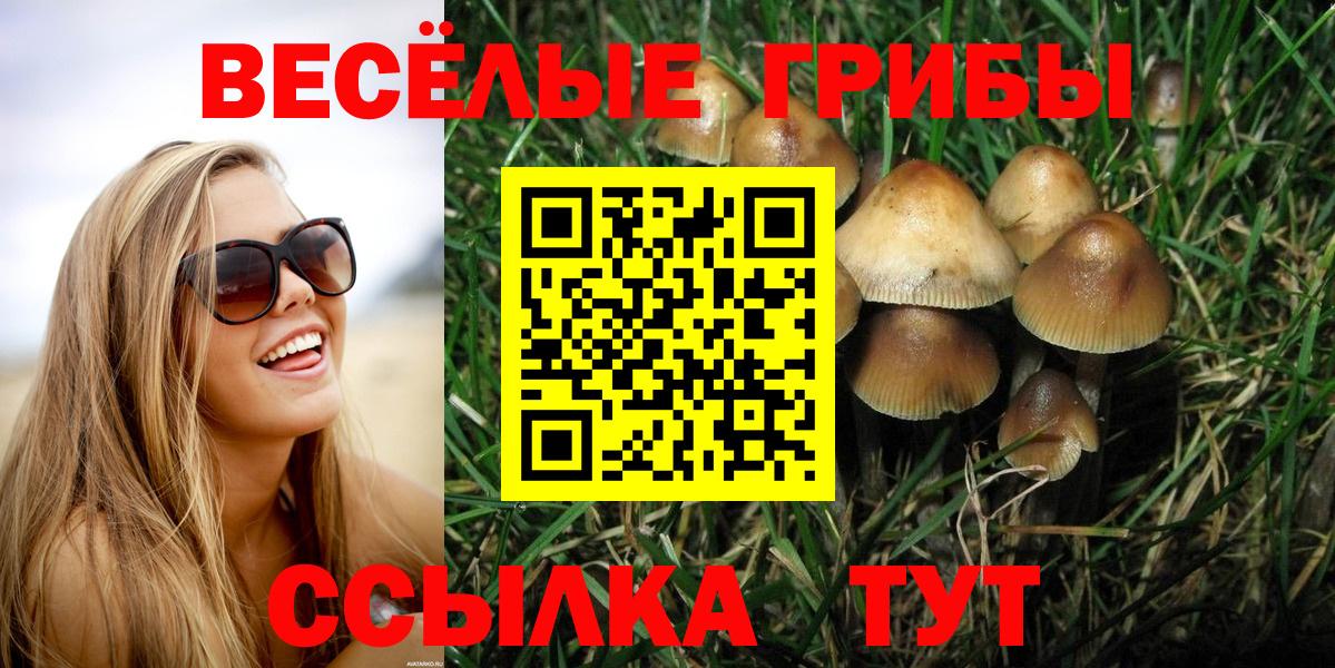 Маркс  Галлюциногенные грибы Psilocybe  Галлюциногенные грибы прущие грибы  Вход с VPN 